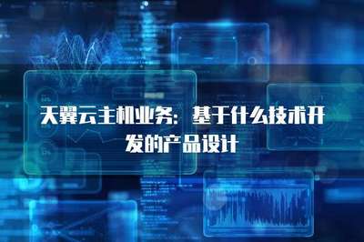 主機業(yè)務 網(wǎng)絡技術(shù)開發(fā)的核心產(chǎn)品業(yè)務